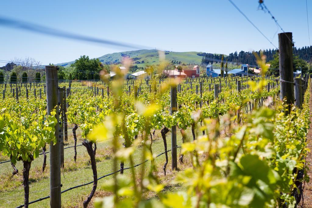 Margrain Vineyard Villas Martinborough Eksteriør bilde