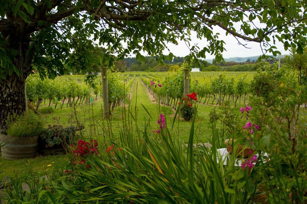 Margrain Vineyard Villas Martinborough Eksteriør bilde